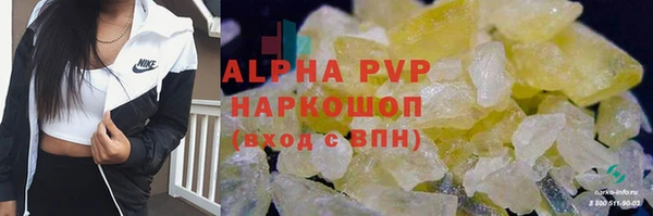 соль ск Бородино