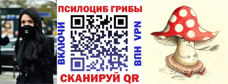 Купить закладки  Ладушкин  Галлюциногенные грибы Magic Shrooms 